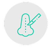 Artboard 5 copy 7 5 (1)