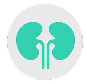 Artboard 5 copy 7 6 (2)